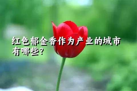 红色郁金香作为产业的城市有哪些？