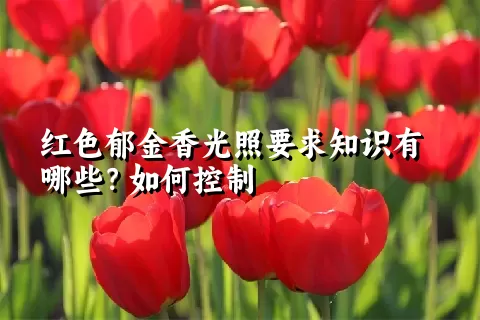 红色郁金香光照要求知识有哪些？如何控制