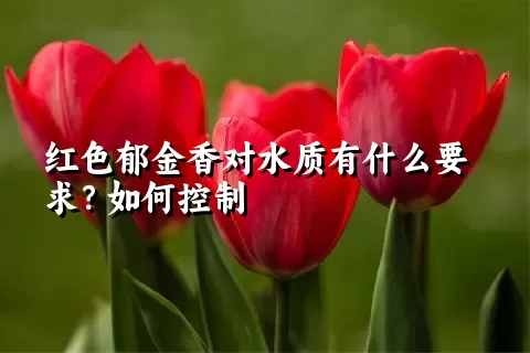 红色郁金香对水质有什么要求？如何控制