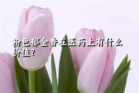 粉色郁金香在医药上有什么价值？