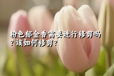 粉色郁金香需要进行修剪吗？该如何修剪？