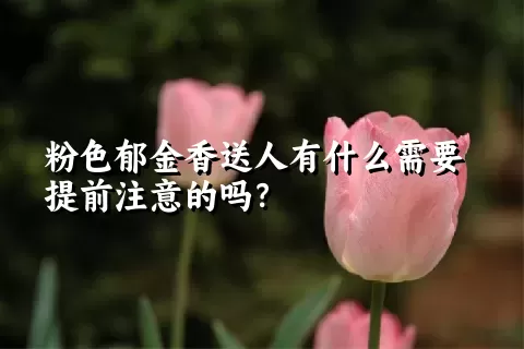 粉色郁金香送人有什么需要提前注意的吗？