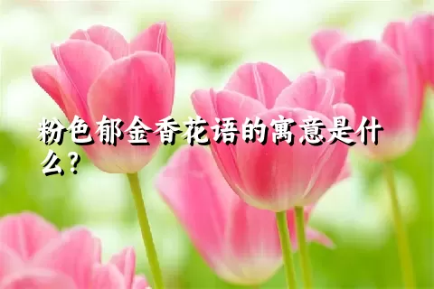 粉色郁金香花语的寓意是什么？