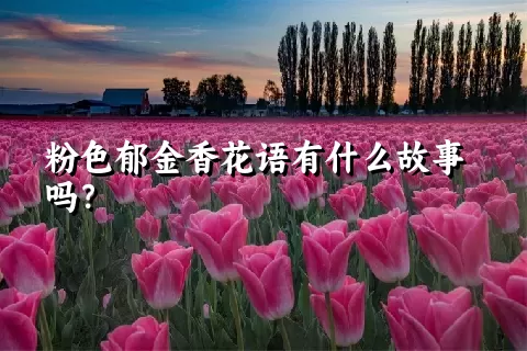 粉色郁金香花语有什么故事吗？