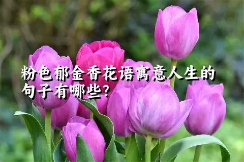 粉色郁金香花语寓意人生的句子有哪些？