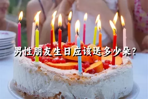 男性朋友生日应该送多少朵？