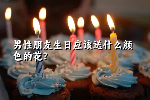 男性朋友生日应该送什么颜色的花？