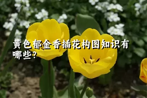 黄色郁金香插花构图知识有哪些？