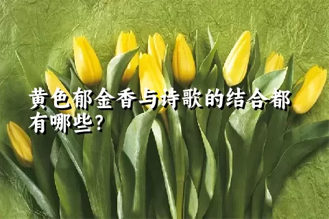 黄色郁金香与诗歌的结合都有哪些？