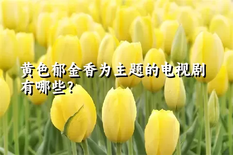 黄色郁金香为主题的电视剧有哪些？