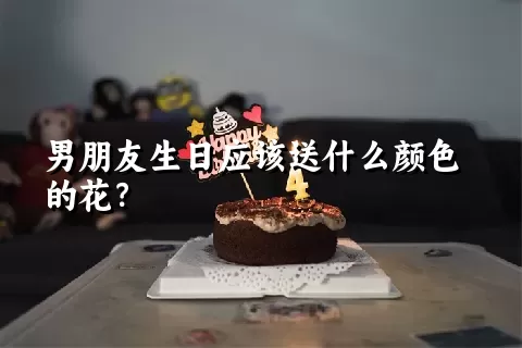 男朋友生日应该送什么颜色的花？