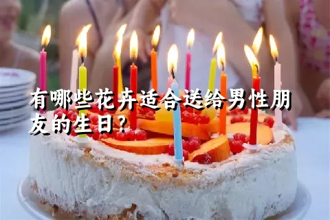 有哪些花卉适合送给男性朋友的生日？