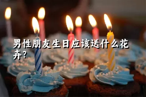 男性朋友生日应该送什么花卉？