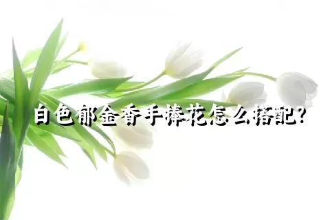 白色郁金香手捧花怎么搭配？