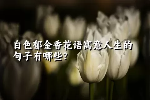 白色郁金香花语寓意人生的句子有哪些？