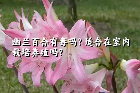 幽兰百合有毒吗？适合在室内栽培养殖吗？