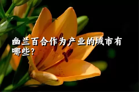 幽兰百合作为产业的城市有哪些？