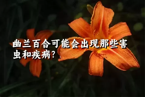 幽兰百合可能会出现那些害虫和疾病？