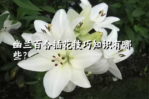 幽兰百合插花技巧知识有哪些？