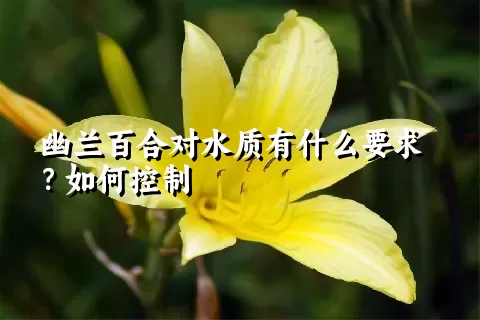 幽兰百合对水质有什么要求？如何控制