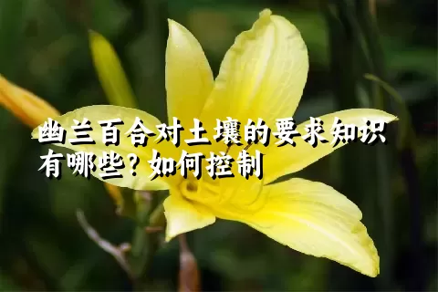 幽兰百合对土壤的要求知识有哪些？如何控制