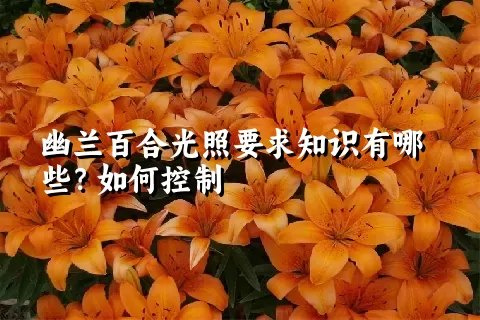 幽兰百合光照要求知识有哪些？如何控制