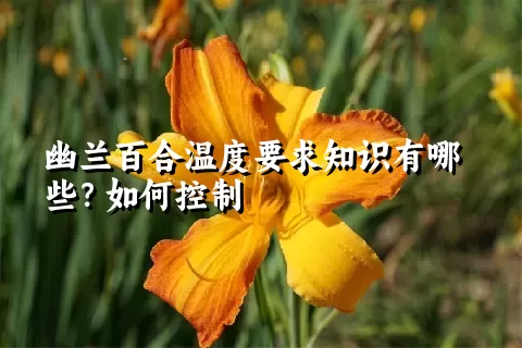 幽兰百合温度要求知识有哪些？如何控制