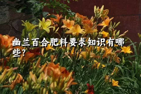 幽兰百合肥料要求知识有哪些？