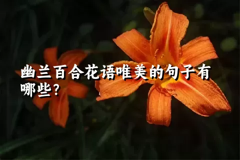 幽兰百合花语唯美的句子有哪些？