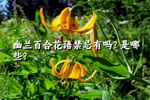 幽兰百合花语禁忌有吗？是哪些？