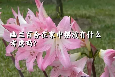 幽兰百合在家中摆放有什么考虑吗？