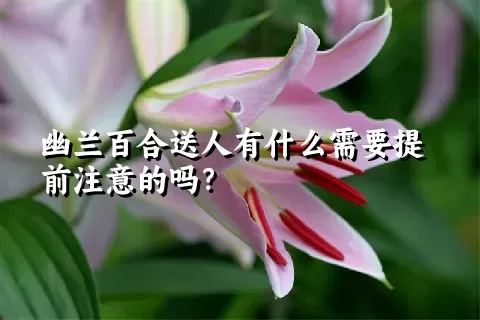 幽兰百合送人有什么需要提前注意的吗？