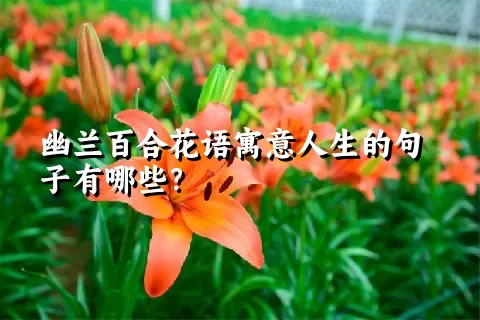 幽兰百合花语寓意人生的句子有哪些？