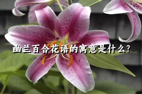 幽兰百合花语的寓意是什么？