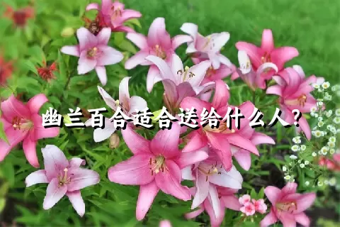 幽兰百合适合送给什么人？