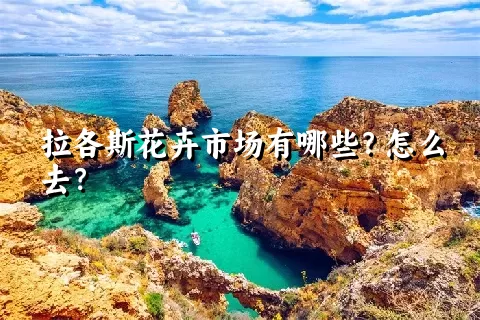 拉各斯花卉市场有哪些？怎么去？