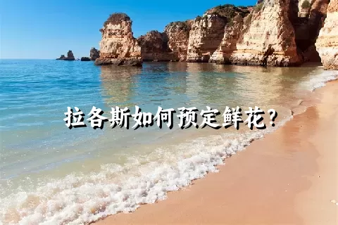 拉各斯如何预定鲜花？