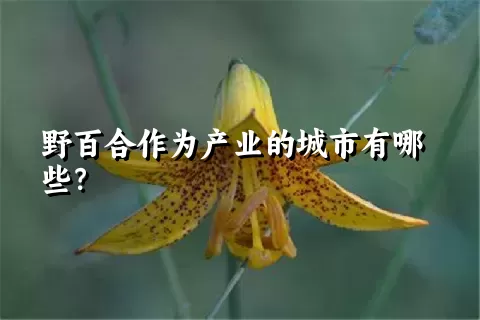 野百合作为产业的城市有哪些？