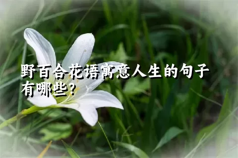 野百合花语寓意人生的句子有哪些？