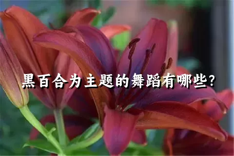 黑百合为主题的舞蹈有哪些？