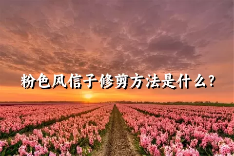 粉色风信子修剪方法是什么？