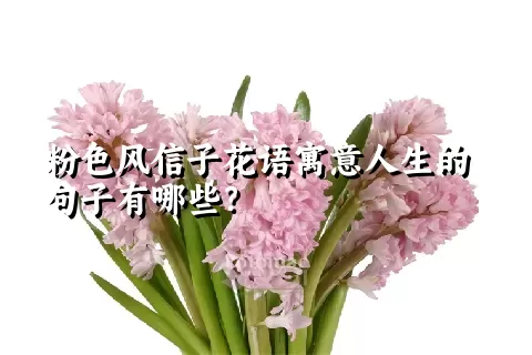 粉色风信子花语寓意人生的句子有哪些？