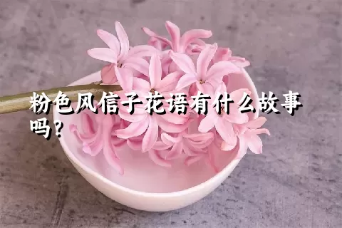 粉色风信子花语有什么故事吗？