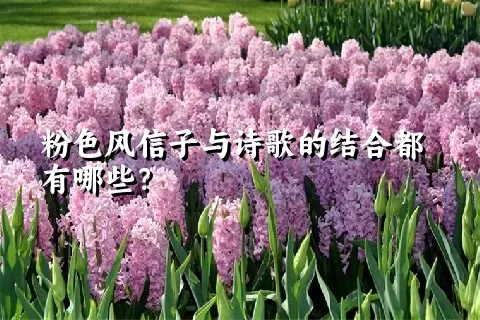 粉色风信子与诗歌的结合都有哪些？