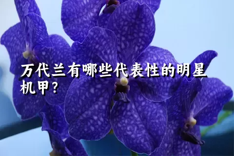 万代兰有哪些代表性的明星机甲？