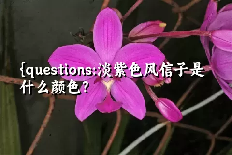 淡紫色风信子是什么颜色？