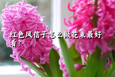 红色风信子怎么做花束最好看？