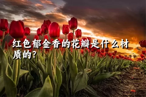 红色郁金香的花瓣是什么材质的？