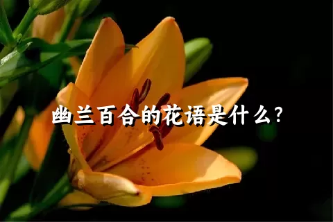 幽兰百合的花语是什么？