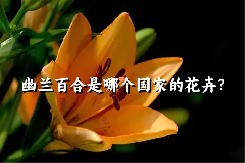 幽兰百合是哪个国家的花卉？